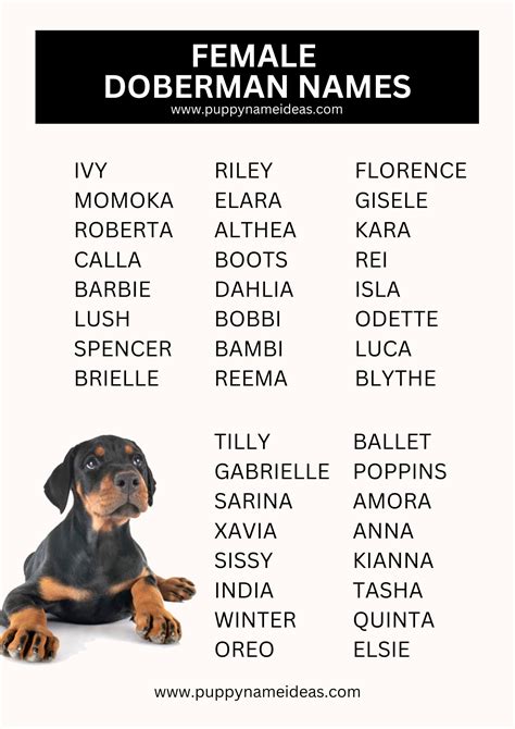 female doberman names|doberman female names list.